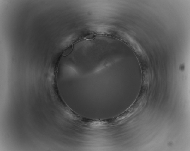 X0000102540465200808151647
