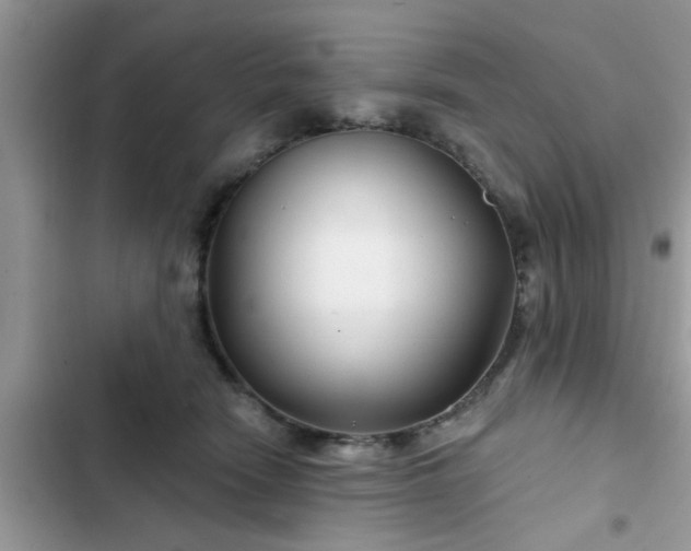 X0000102540466200808151647