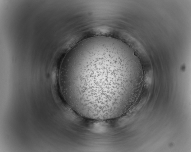 X0000102540468200808151647