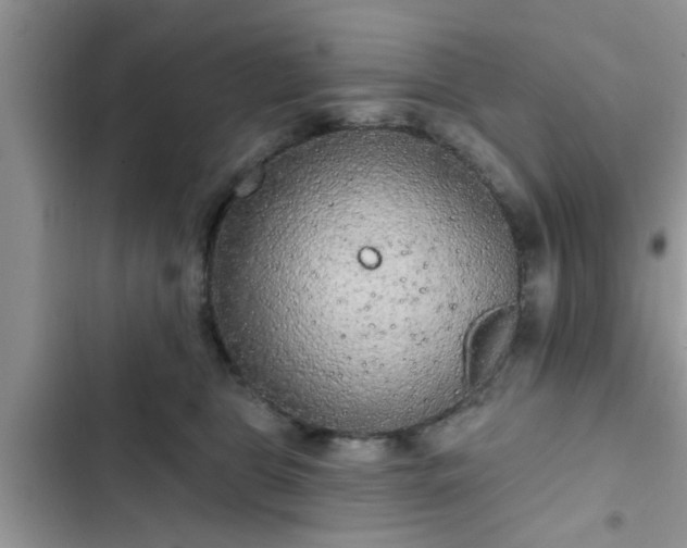 X0000102540469200808151647