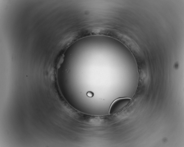 X0000102540470200808151647