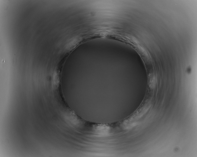 X0000102540471200808151647