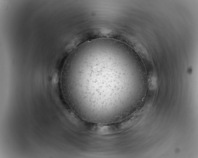 X0000102540472200808151647