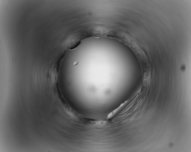 X0000102540474200808151647