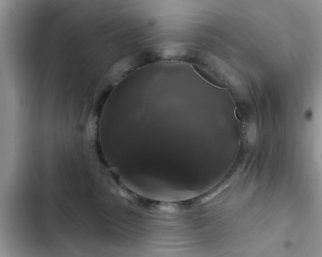 X0000102540475200808151647