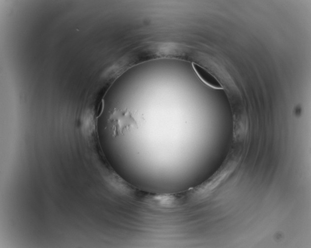 X0000102540478200808151647