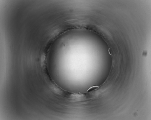 X0000102540480200808151647
