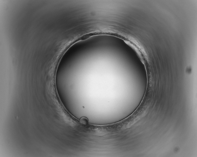 X0000102540481200808151646