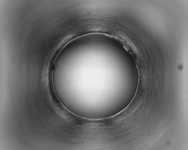 X0000102540482200808151646