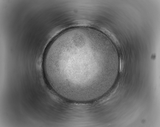 X0000102540483200808151646
