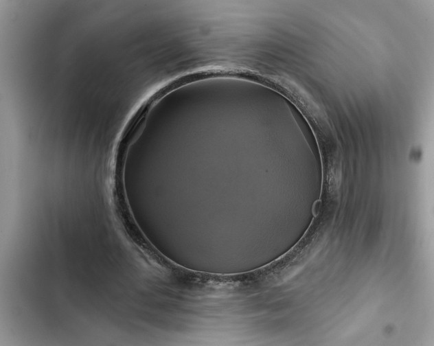 X0000102540484200808151646