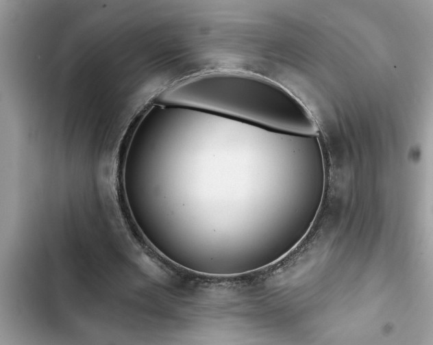X0000102540485200808151646