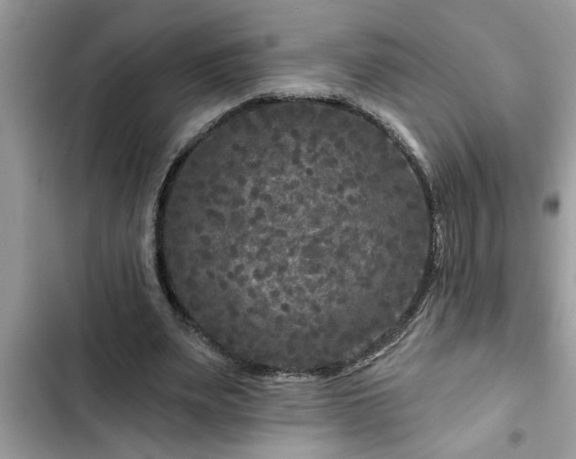 X0000102540487200808151646