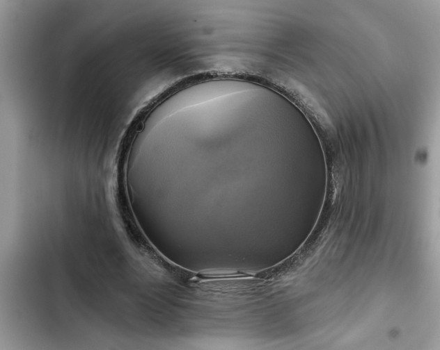X0000102540488200808151646