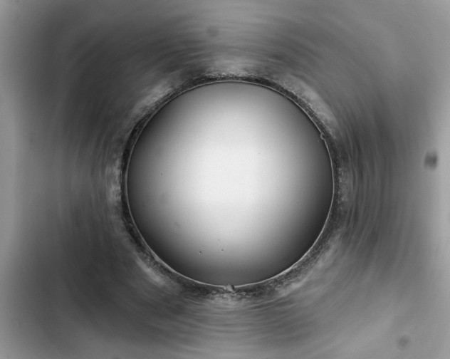 X0000102540489200808151646