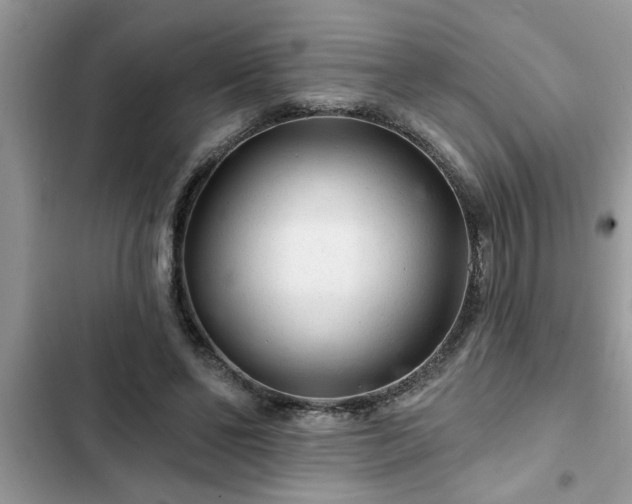 X0000102540494200808151646