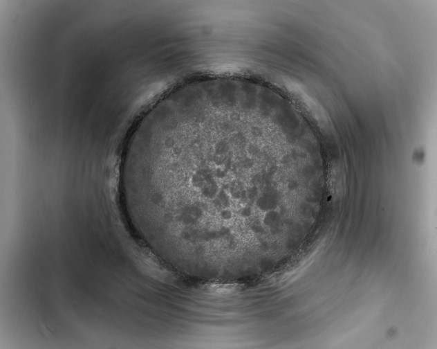 X0000102540495200808151646