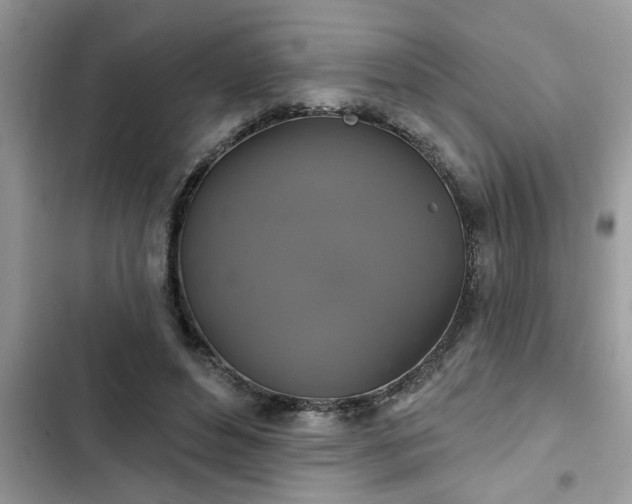 X0000102540496200808151646