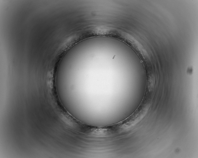 X0000102540497200808151646