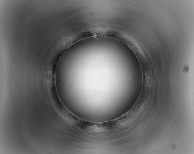 X0000102540498200808151646