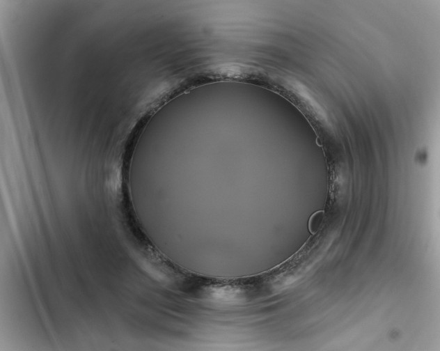 X0000102540500200808151646