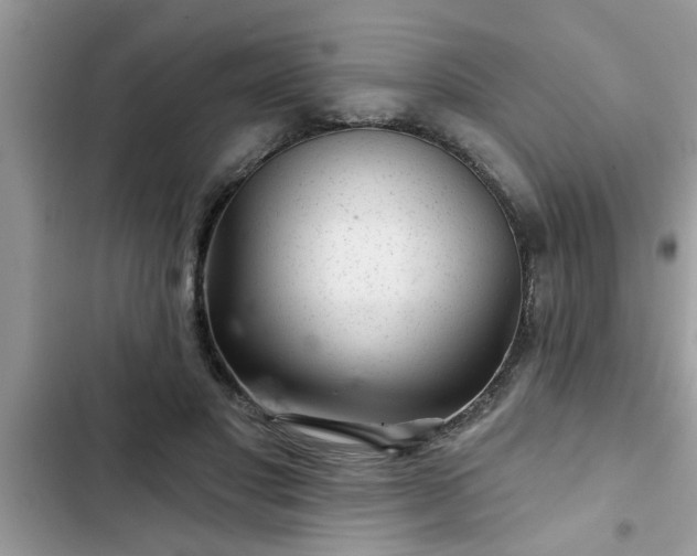 X0000102540501200808151646