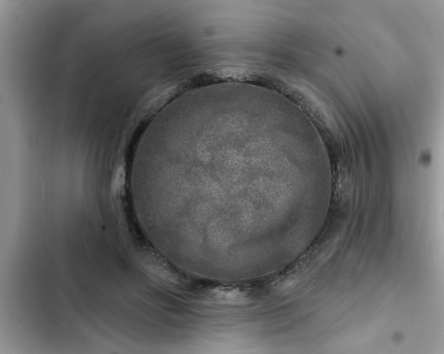 X0000102540502200808151646