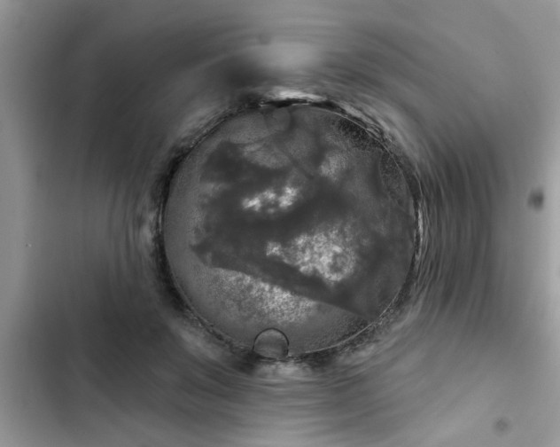 X0000102540503200808151646