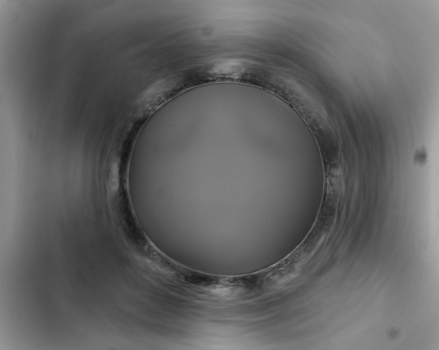 X0000102540504200808151646
