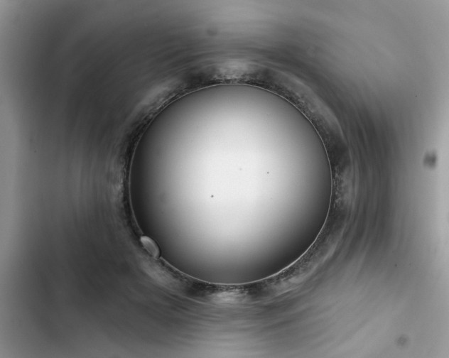 X0000102540505200808151646