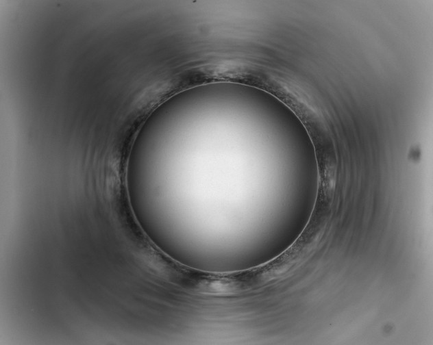 X0000102540506200808151646