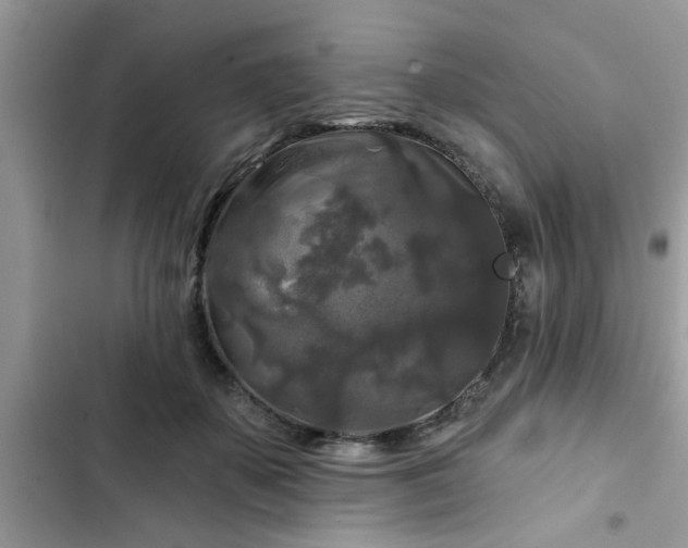 X0000102540507200808151646