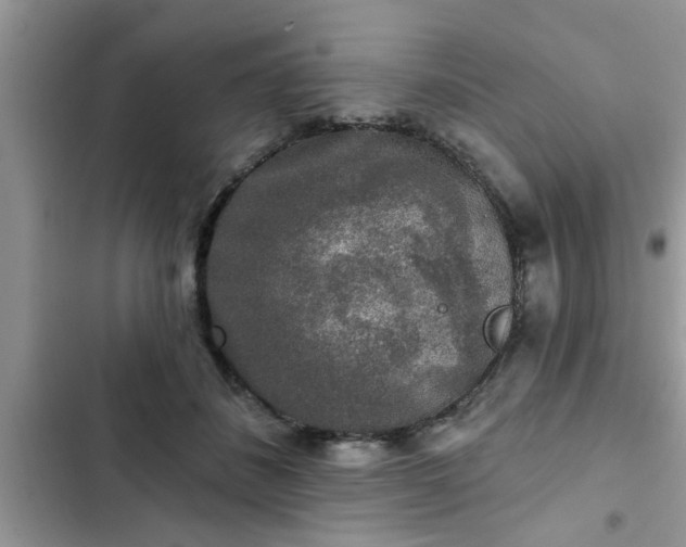 X0000102540508200808151646
