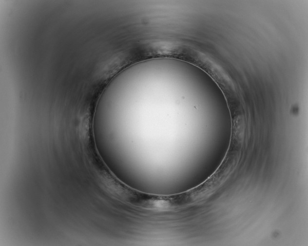 X0000102540509200808151646