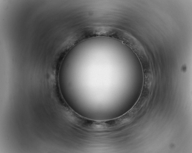 X0000102540510200808151646