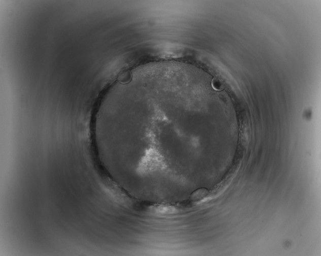 X0000102540512200808151646