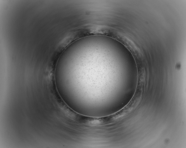 X0000102540513200808151646