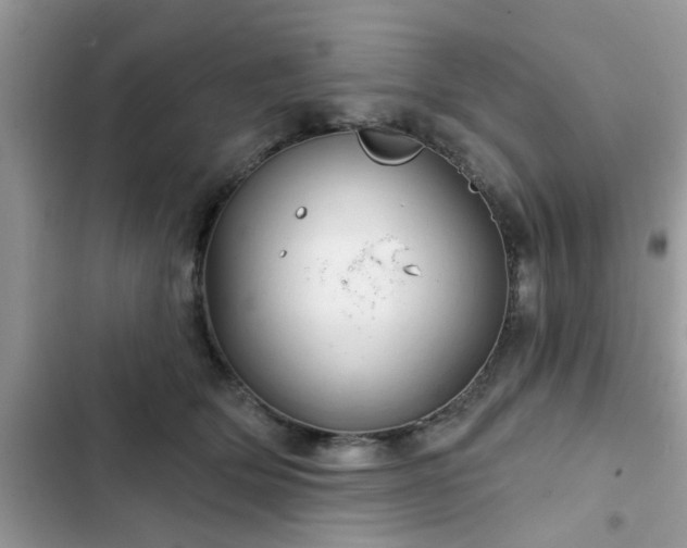 X0000102540514200808151646