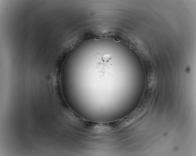 X0000102540515200808151645