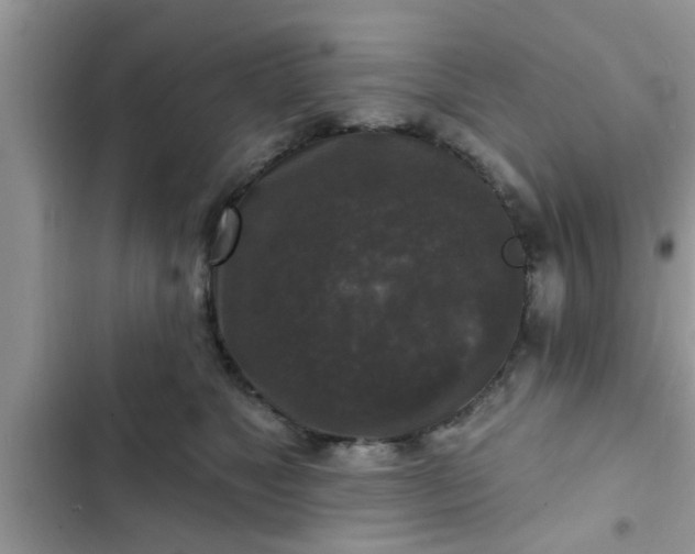 X0000102540517200808151645