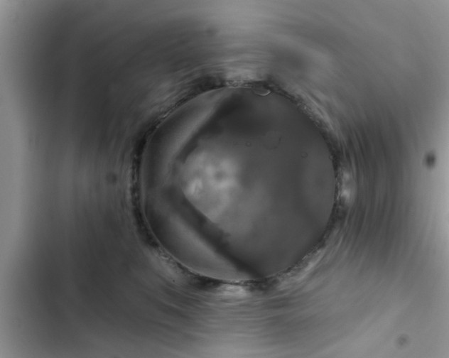 X0000102540519200808151645