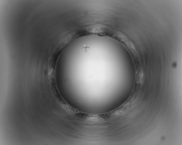 X0000102540521200808151645