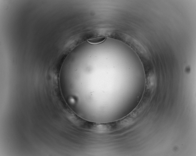 X0000102540522200808151645
