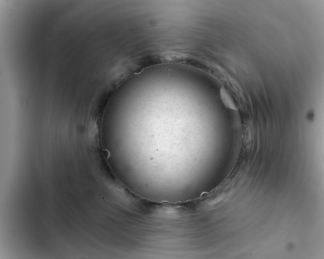 X0000102540523200808151645