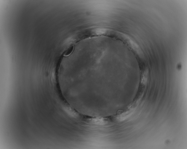 X0000102540524200808151645