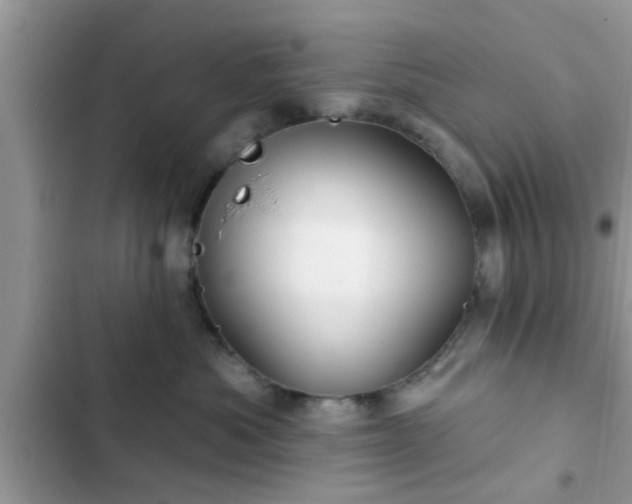 X0000102540525200808151645