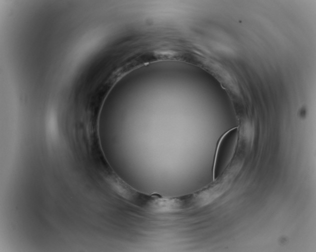 X0000102540526200808151645