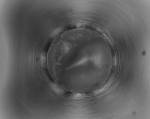 X0000102540527200808151645