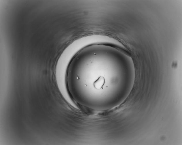 X0000102540528200808151645