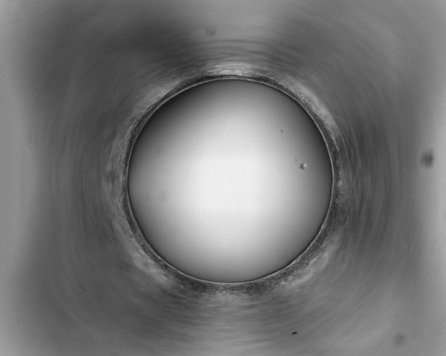 X0000102540529200808151645